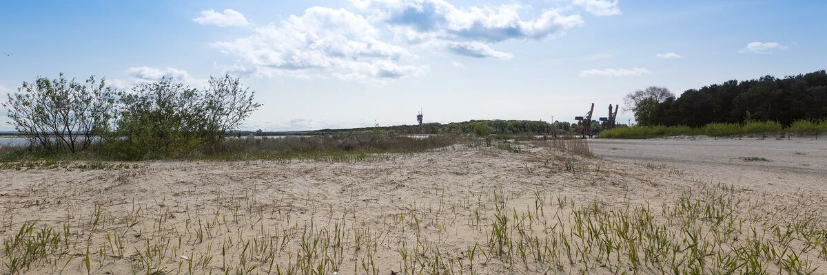 Eine Düne am Strand von Swinemünde